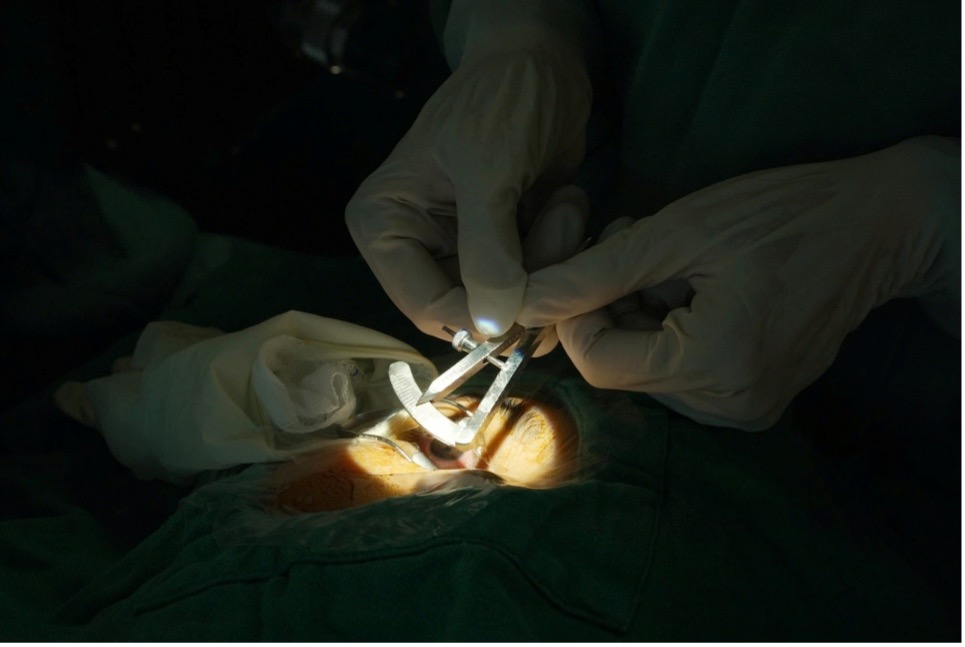 Điểm tin nhanh ngày 24/02/2026