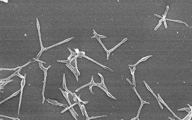 Điểm tin nhanh ngày 24/10/2025