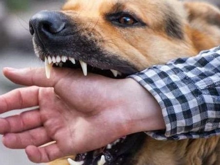 Điểm tin nhanh ngày 25/4/2024