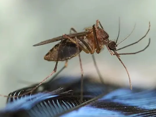 Điểm tin nhanh ngày 28/08/2024