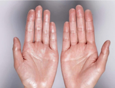 Điểm tin nhanh ngày 8/10/2024