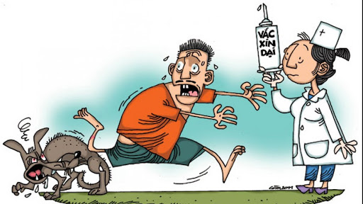 Tiêm vắc xin là biện pháp duy nhất để cứu sống người đã phơi nhiễm với vi rút Dại