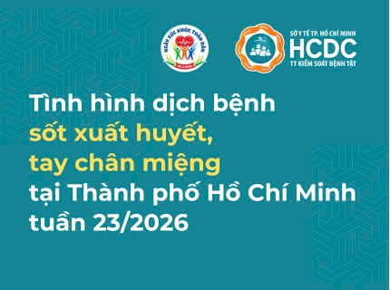 Tình hình dịch bệnh sốt xuất huyết, tay chân miệng trên địa bàn TP. Hồ Chí Minh tính đến tuần 23/2026