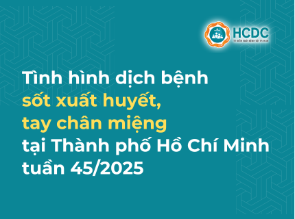 Tình hình dịch bệnh sốt xuất huyết, tay chân miệng trên địa bàn TP. Hồ Chí Minh tính đến tuần 45/2025