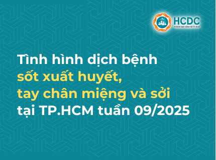 Tình hình dịch bệnh sốt xuất huyết, tay chân miệng và sởi tại TP. Hồ Chí Minh tính đến tuần 9/2025