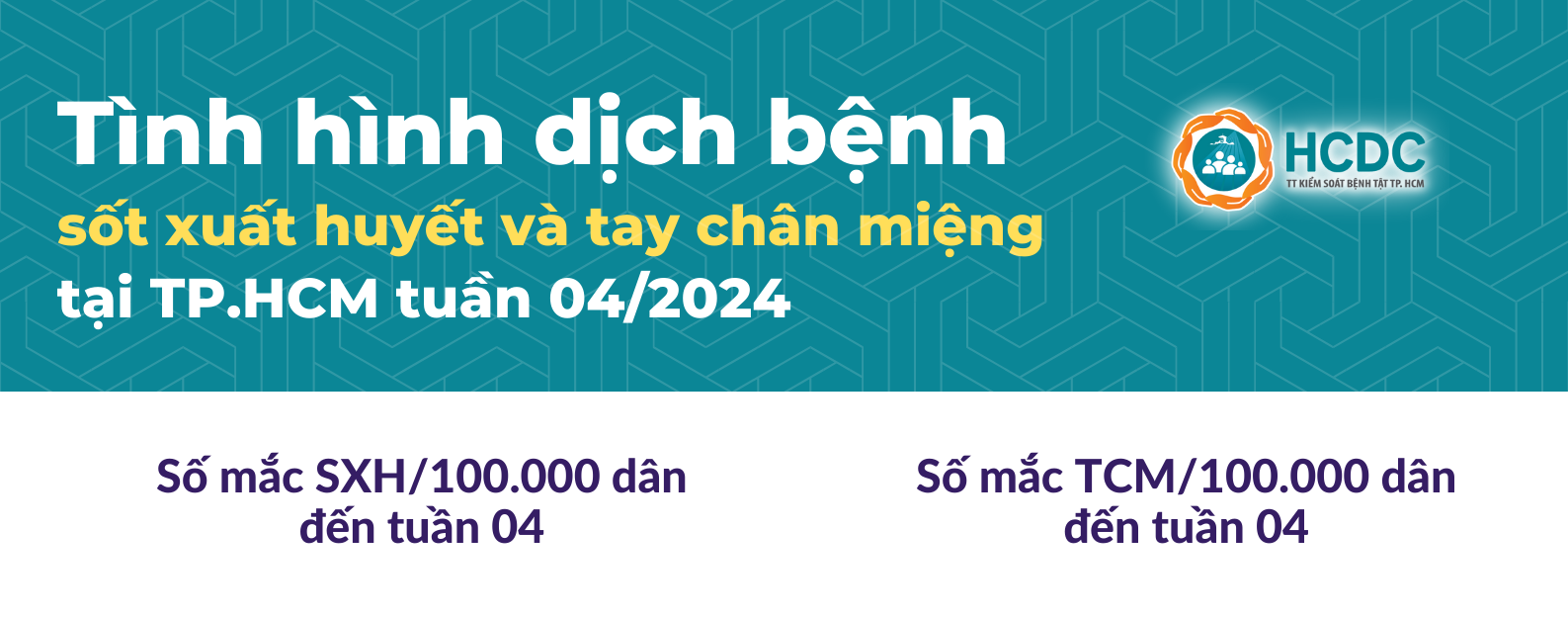 Tình hình dịch bệnh sốt xuất huyết và tay chân miệng tại TP. Hồ Chí Minh tính đến tuần 04/2024