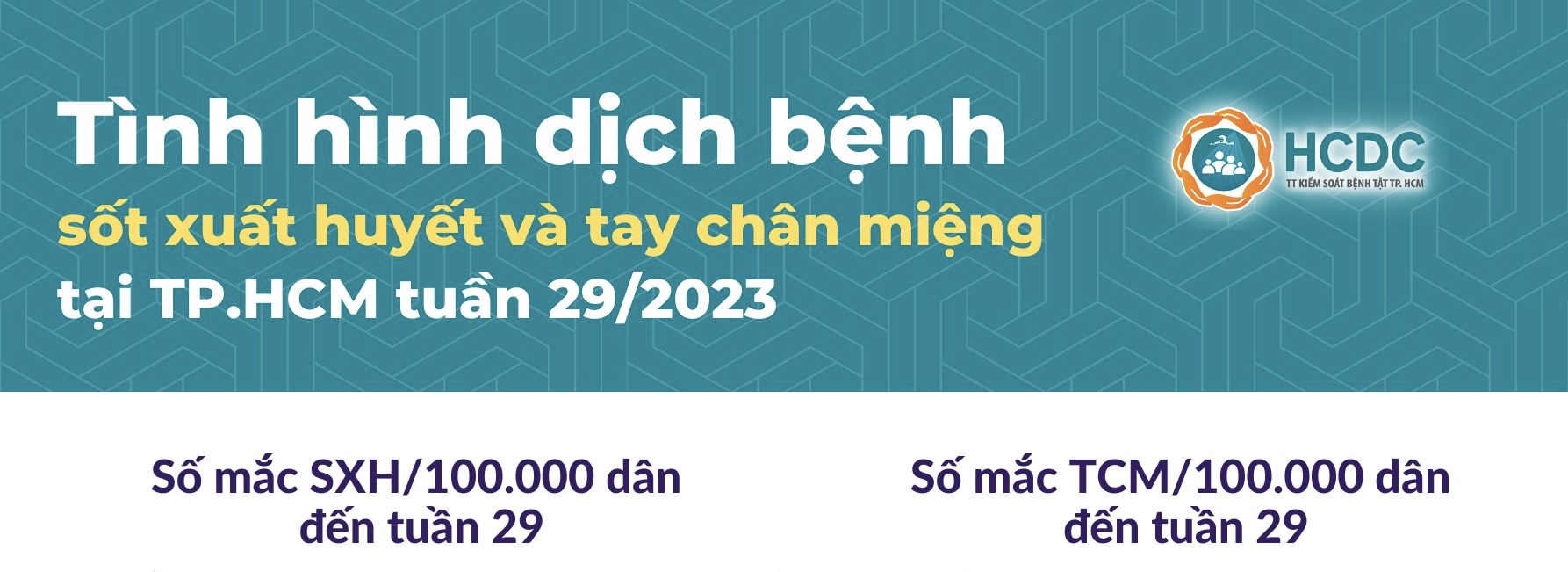 Tình hình dịch bệnh sốt xuất huyết và tay chân miệng tại TP. Hồ Chí Minh tính đến tuần 29/2023
