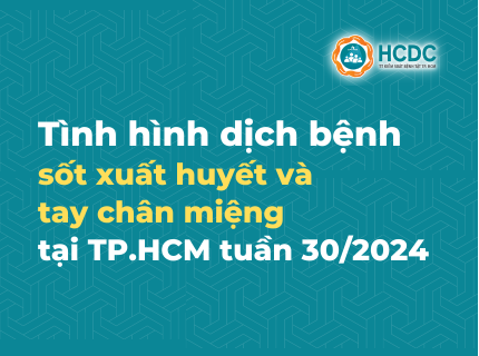 Tình hình dịch bệnh sốt xuất huyết và tay chân miệng tại TP. Hồ Chí Minh tính đến tuần 30/2024