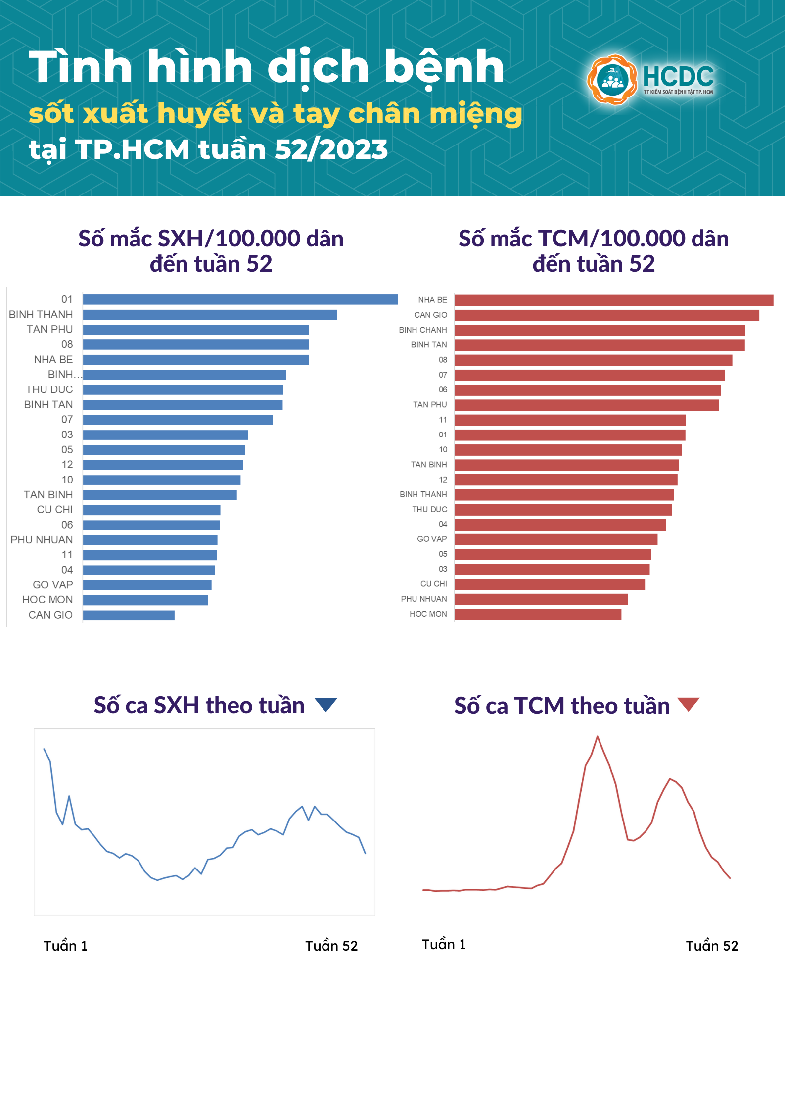 Tình hình dịch bệnh sốt xuất huyết và tay chân miệng tại TP. Hồ Chí Minh tính đến tuần 52/2023.
