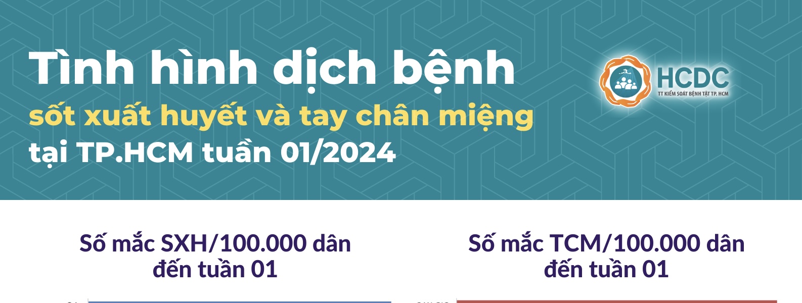 Tình hình dịch bệnh sốt xuất huyết và tay chân miệng tại TP. Hồ Chí Minh tuần 1/2024