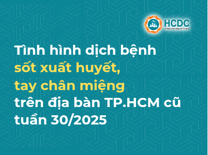 Tình hình dịch bệnh sốt xuất huyết và tay chân miệng trên địa bàn TP. Hồ Chí Minh cũ tính đến tuần 30/2025