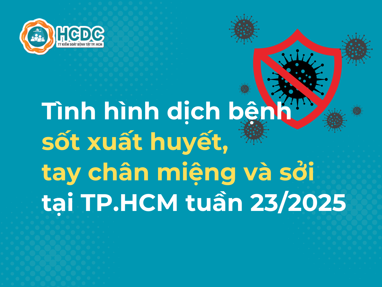 Tình hình dịch bệnh sốt xuất huyết, tay chân miệng và sởi tại TP. Hồ Chí Minh tính đến tuần 23/2025