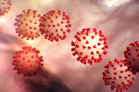 Thông tin nổi bật ngày 12/3/2020