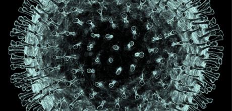 Tình hình dịch bệnh Covid – 19 tại Thành phố Hồ Chí Minh (cập nhật 7g ngày 13/3/2020)