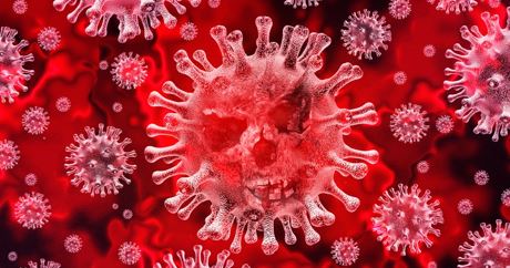 Bệnh nhân 48: cập nhật kết quả xét nghiệm các trường hợp tiếp xúc gần 