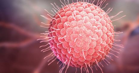 Tin nổi bật ngày 14/3/2020