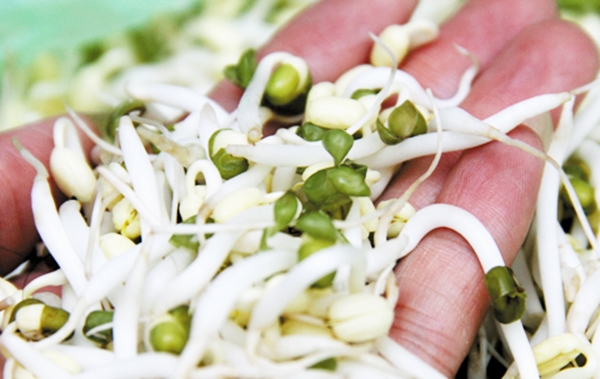 Ăn uống phòng bệnh mùa xuân