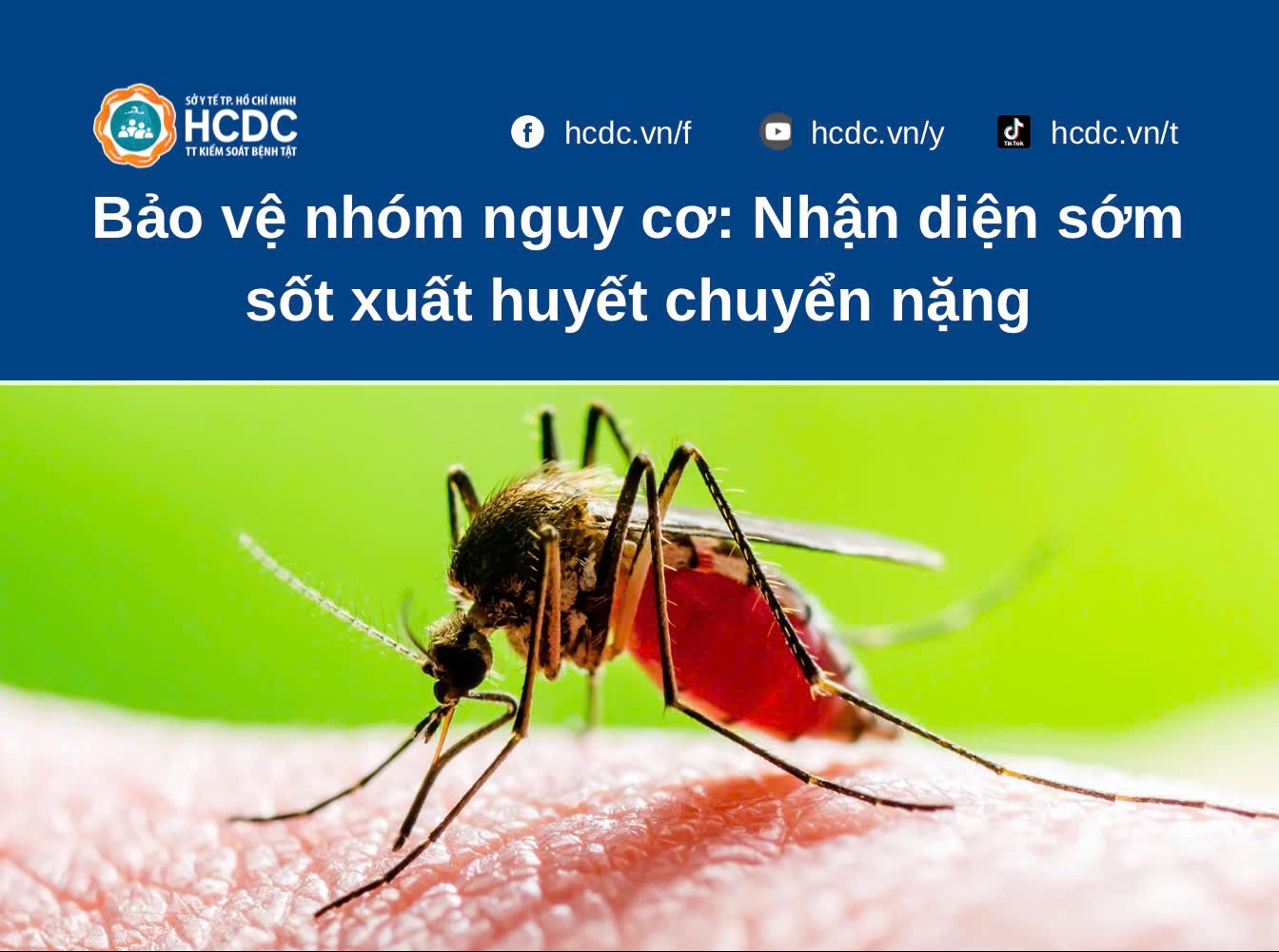 Bảo vệ nhóm nguy cơ: Nhận diện sớm sốt xuất huyết chuyển nặng