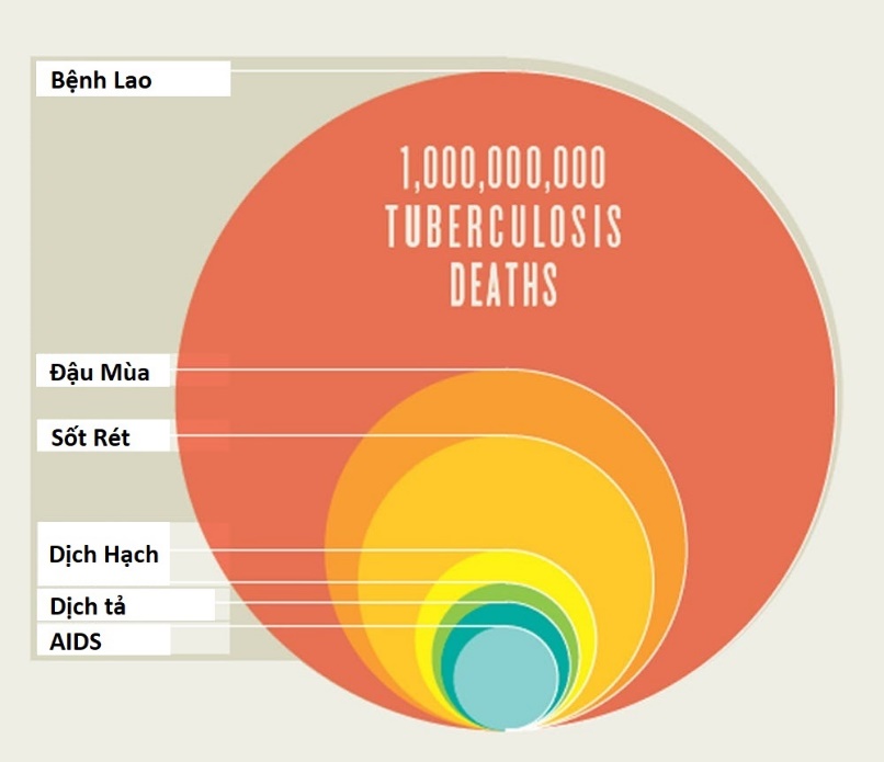 Bệnh lao: ước tính có đến 30% dân số Việt Nam mắc lao tiềm ẩn