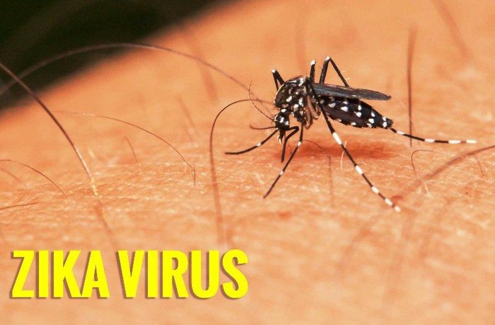 Ca bệnh Zika đầu tiên năm 2020 và 3 trường hợp tử vong vì sốt xuất huyết: Bộ Y tế yêu cầu tăng cường phòng chống các dịch bệnh này