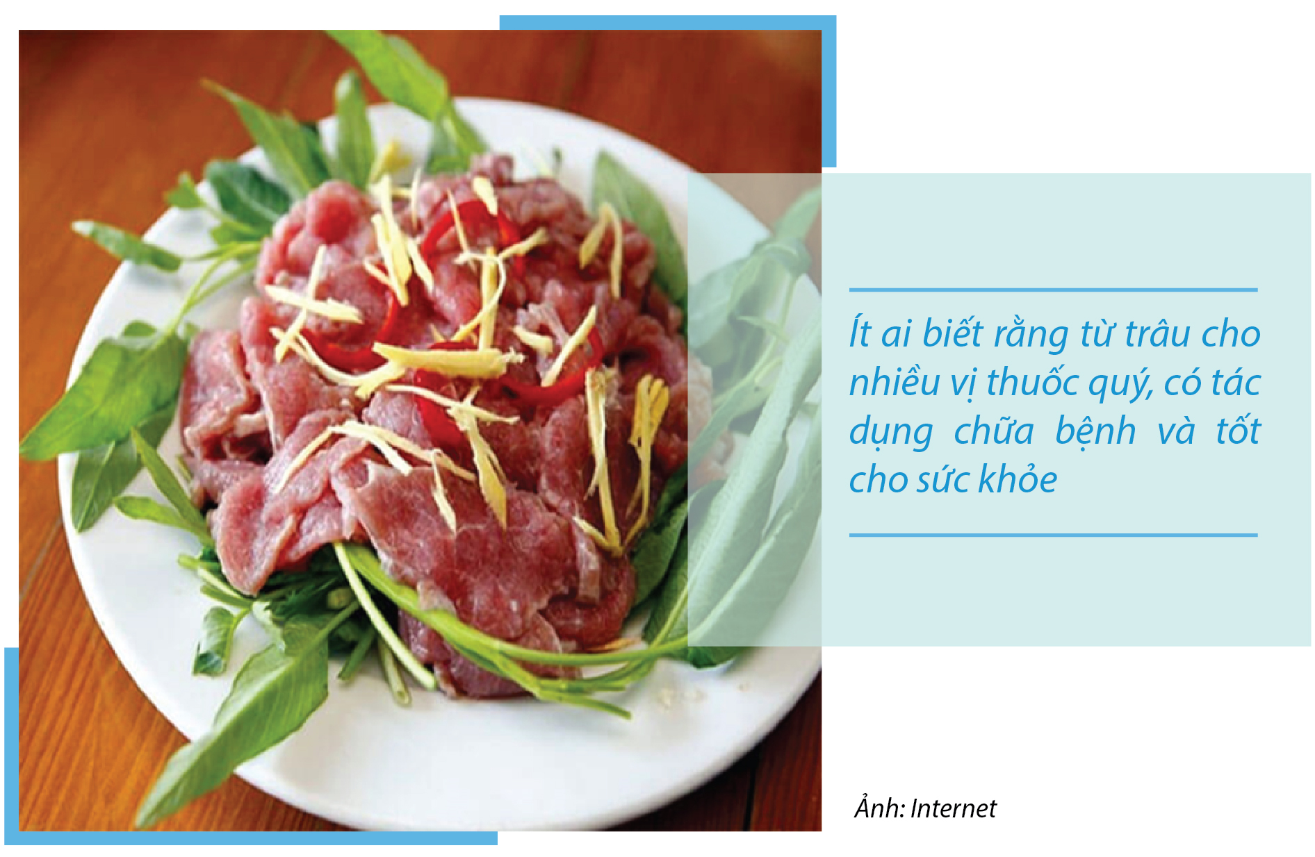 Các vị thuốc chữa bệnh từ trâu – loài vật quen thuộc của người Việt Nam