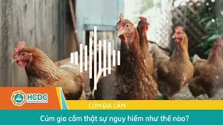 CÚM GIA CẦM THẬT SỰ NGUY HIỂM NHƯ THẾ NÀO?