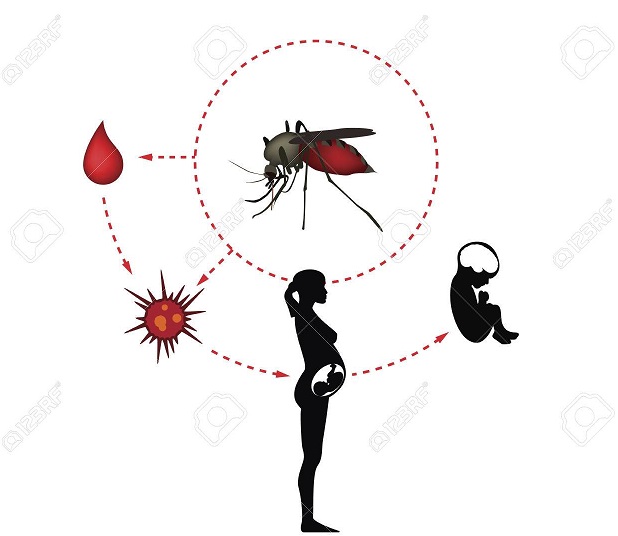 Điểm báo ngày 27/9/2021