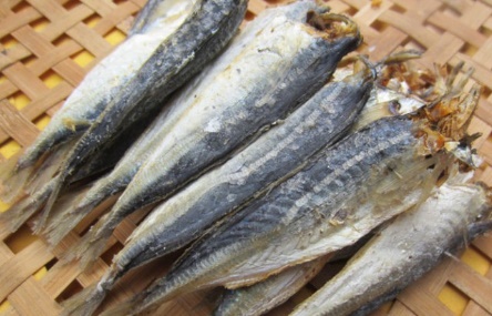 Điểm tin nhanh ngày 04/8/2023