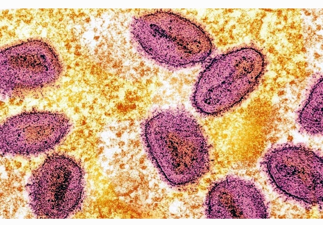 Điểm tin nhanh ngày 05/11/2024