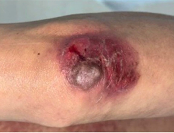 Điểm tin nhanh ngày 08/10/2025