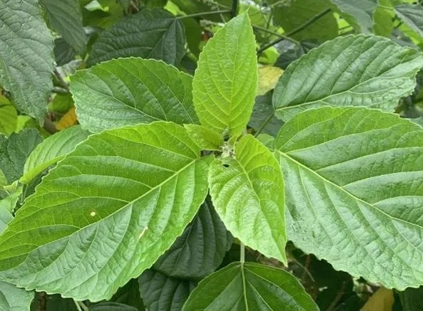 Điểm tin nhanh ngày 09/5/2026