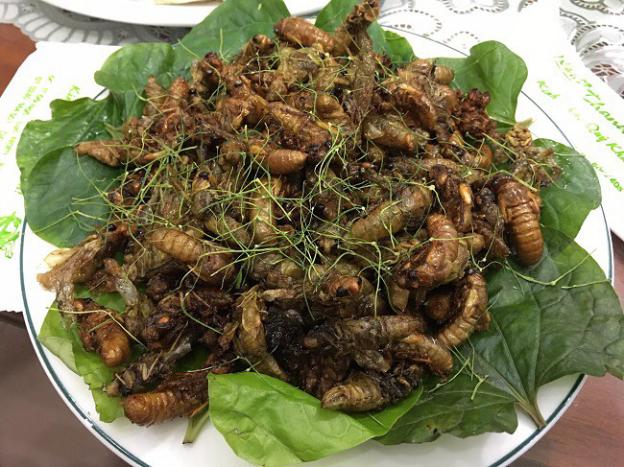 Điểm tin nhanh ngày 12/5/2023