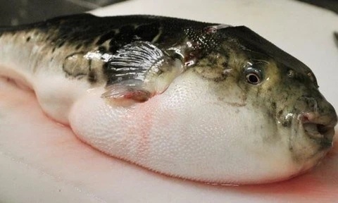 Điểm tin nhanh ngày 14/02/2026