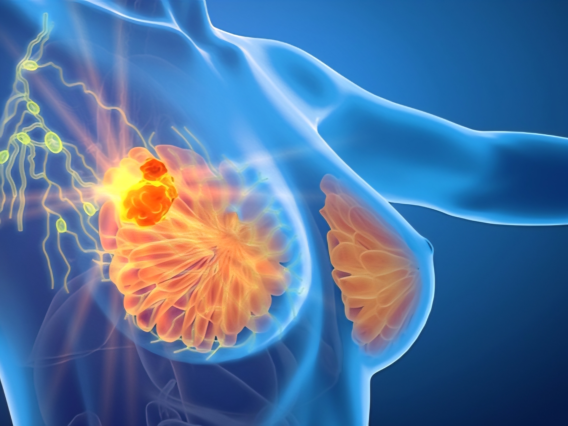 Điểm tin nhanh ngày 14/12/2025