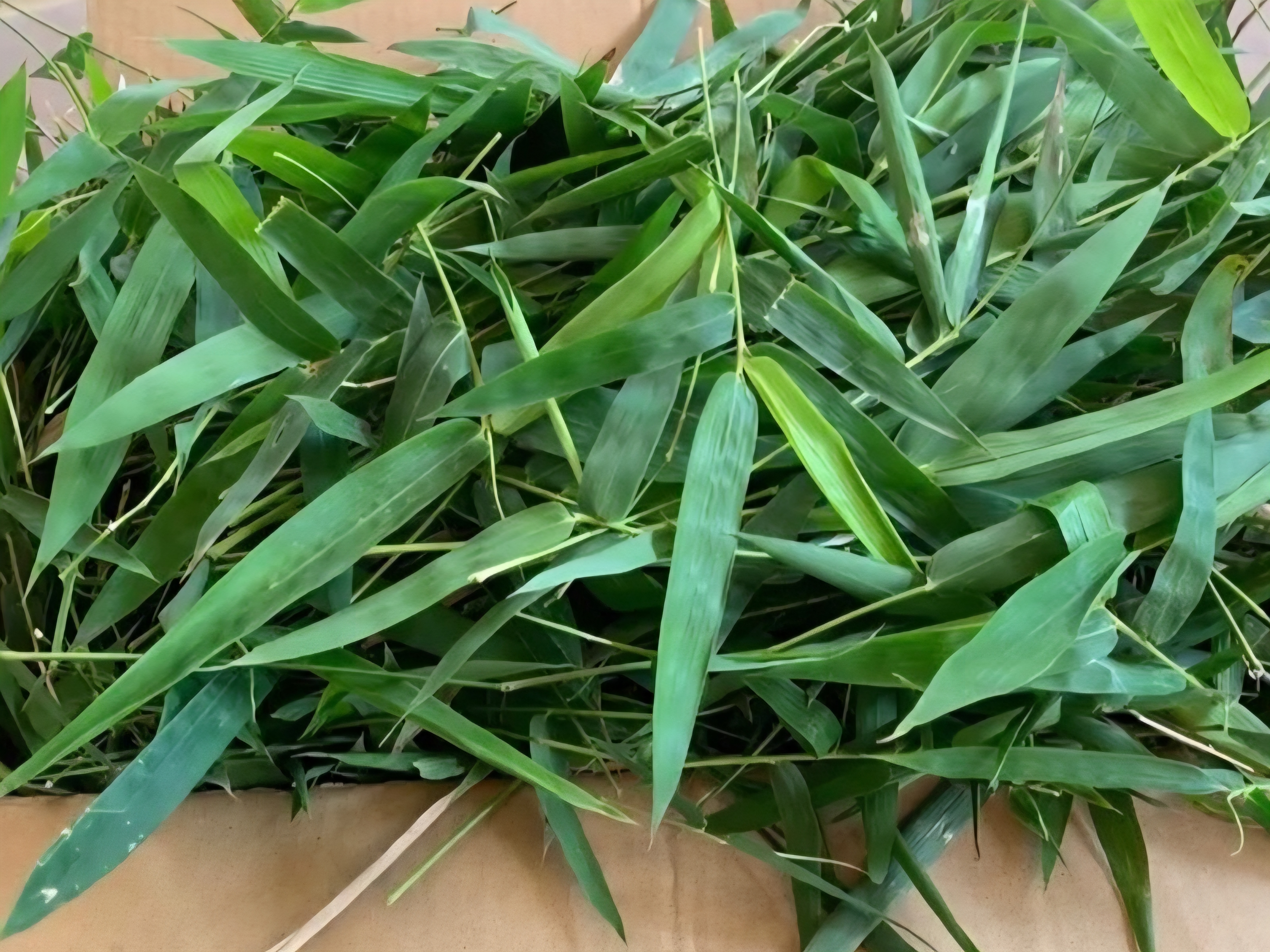 Điểm tin nhanh ngày 19/01/2026