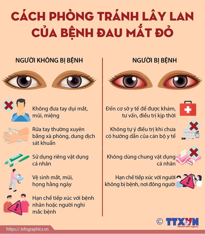 Điểm tin nhanh ngày 25/08/2023