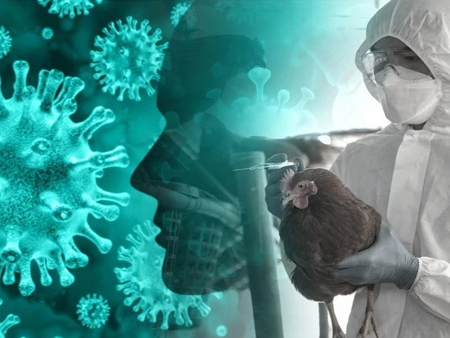 Điểm tin nhanh ngày 26/5/2024