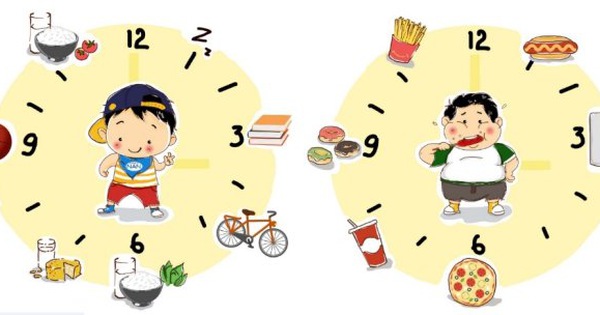 Dinh dưỡng hợp lý – vai trò quan trọng đối với sức khỏe