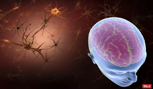 Độc tính của khói thuốc lá