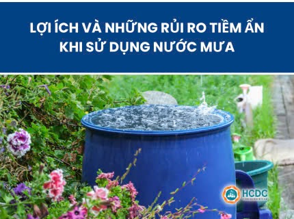 Lợi ích và những rủi ro tiềm ẩn khi sử dụng nước mưa