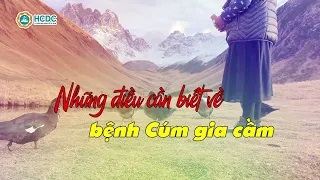 Những điều cần biết về bệnh cúm gia cầm