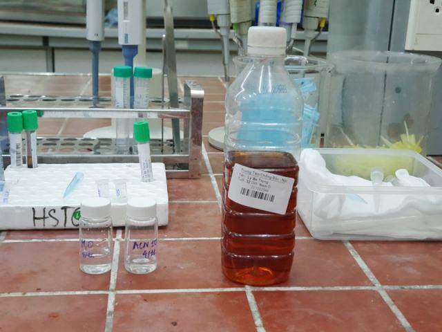 [THÔNG TIN NỔI BẬT NGÀY 15/11/2020]