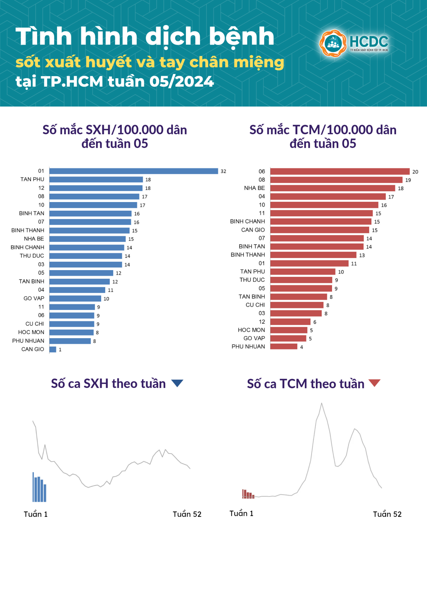Tình hình dịch bệnh sốt xuất huyết và tay chân miệng tại TP. Hồ Chí Minh tính đến tuần 05/2024