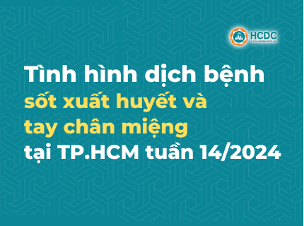Tình hình dịch bệnh sốt xuất huyết và tay chân miệng tại TP. Hồ Chí Minh tính đến tuần 14/2024