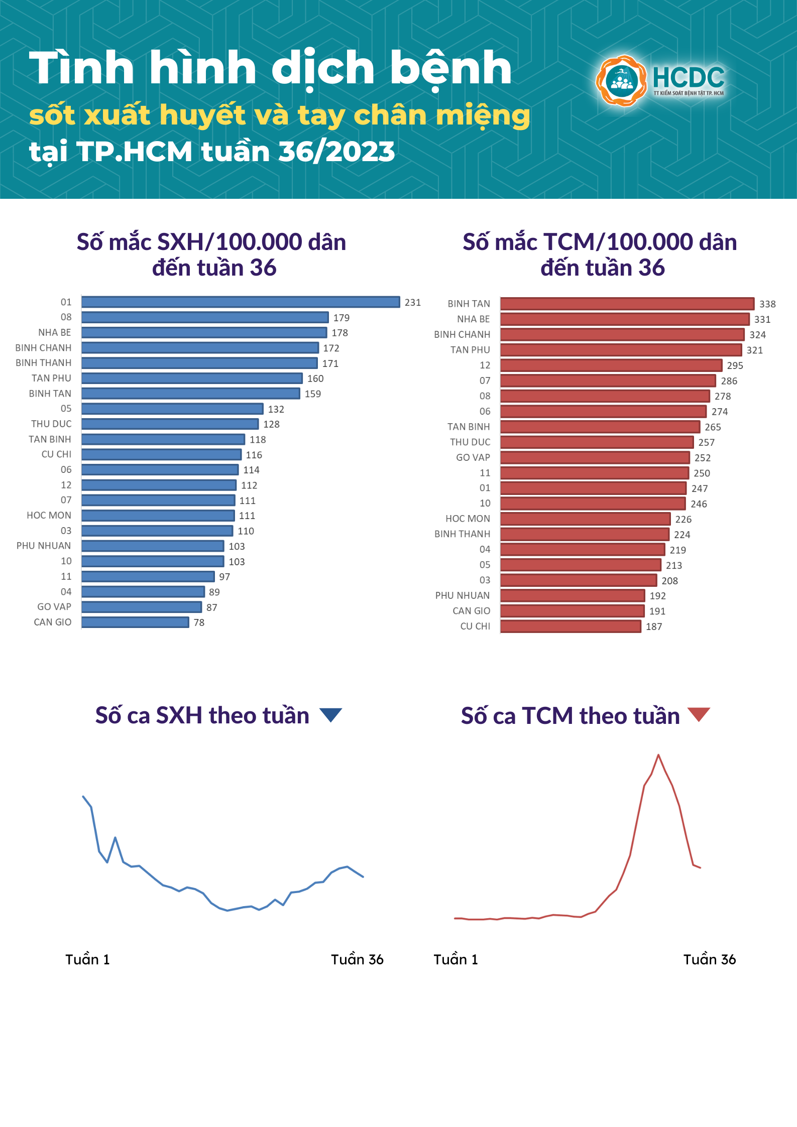 Tình hình dịch bệnh sốt xuất huyết và tay chân miệng tại TP. Hồ Chí Minh tính đến tuần 36/2023