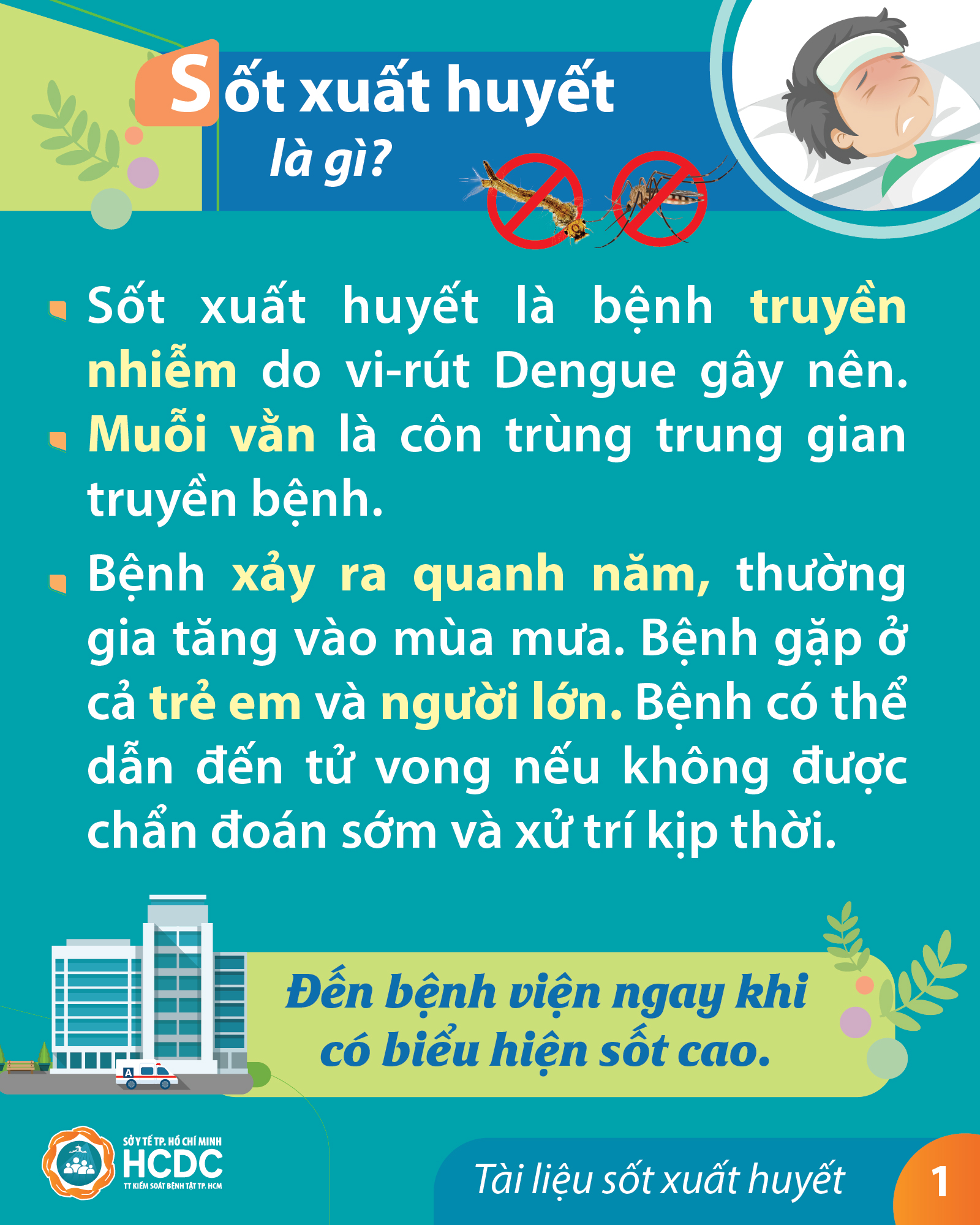 Tờ rơi điện tử Sốt xuất huyết
