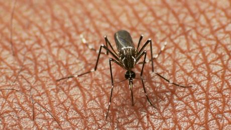 Tài liệu chiến dịch hưởng ứng ngày asean phòng, chống sốt xuất huyết năm 2020