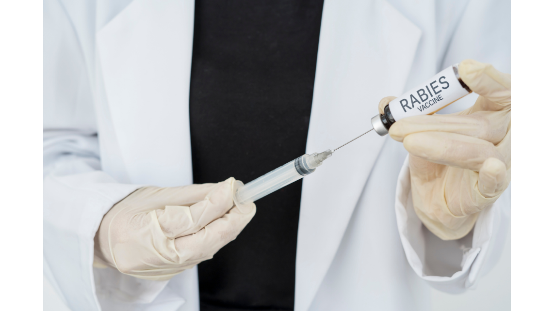 TP.HCM: 10.000 trường hợp bị súc vật cắn phải tiêm vắc xin phòng dại